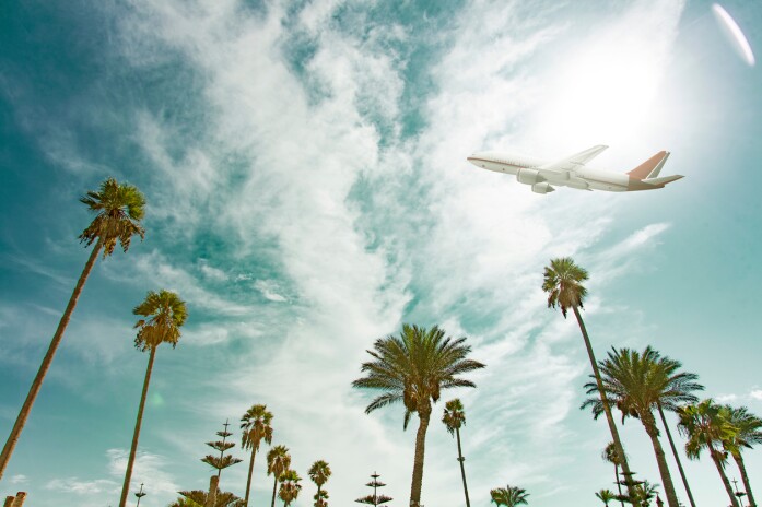Plane flying over palm trees