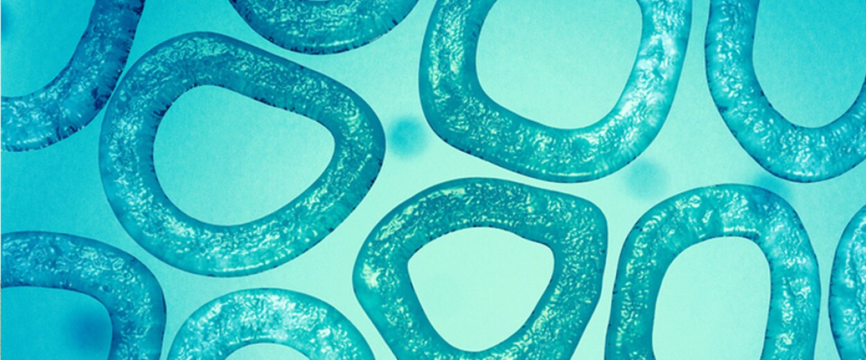 Slide of circular cells