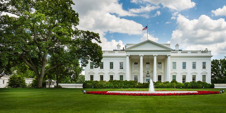 The White House in summer