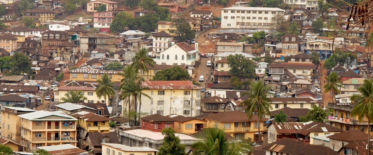 Houses and palm trees city scape